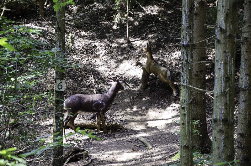 I A 038 August 17 3474-bogenschiessen