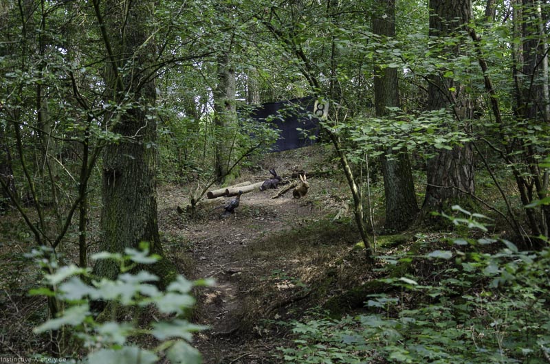 I A 040 August 17 3482-bogenschiessen