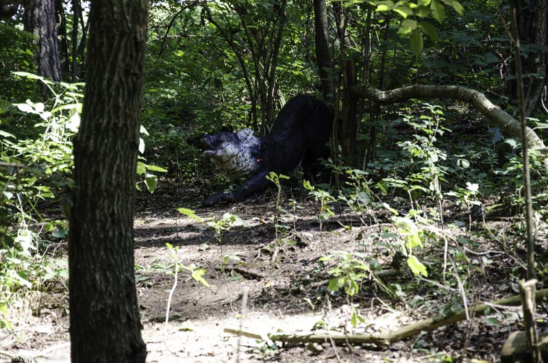 I A 045 August 17 3492-bogenschiessen