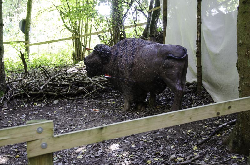 I A 047 August 17 3495-bogenschiessen