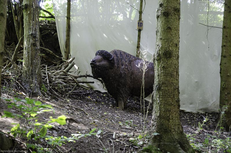 I A 049 August 17 3497-bogenschiessen