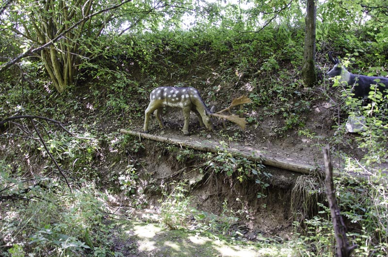 I A 052 August 17 3501-bogenschiessen