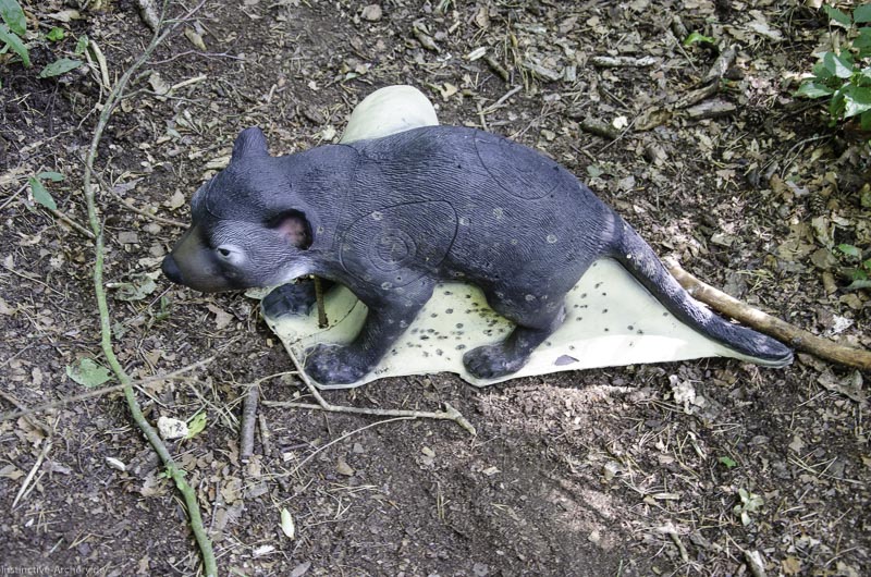 I A 054 August 17 3506-bogenschiessen