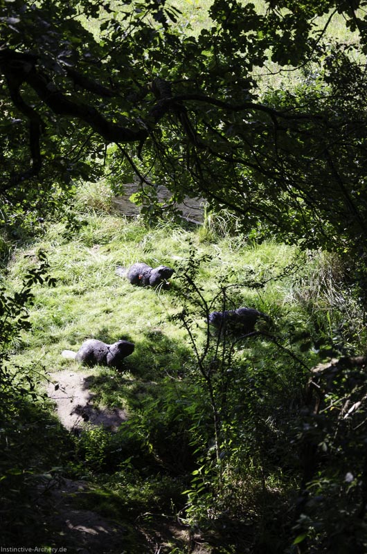 I A 056 August 17 3513-bogenschiessen