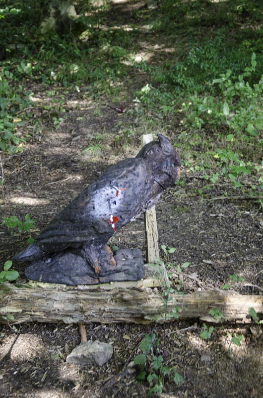 I A 057 August 17 3515-bogenschiessen