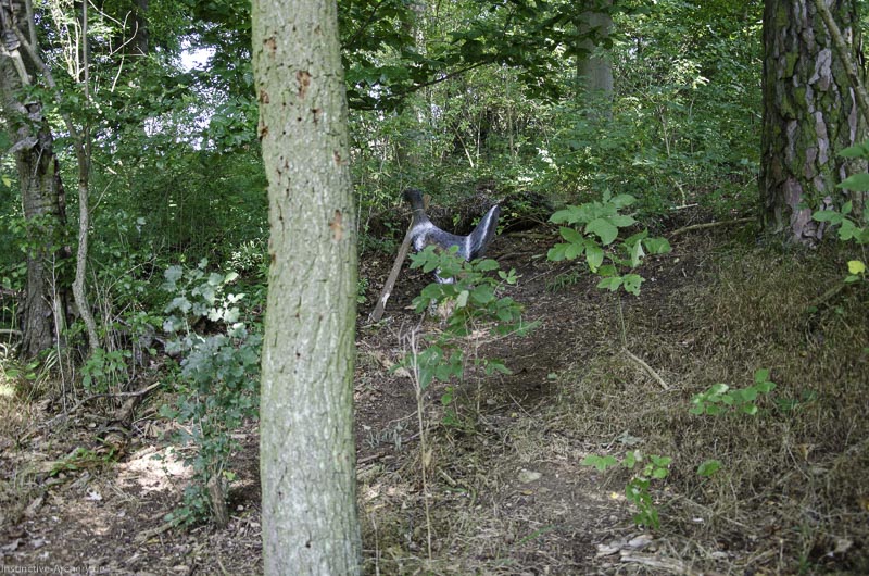 I A 060 August 17 3520-bogenschiessen