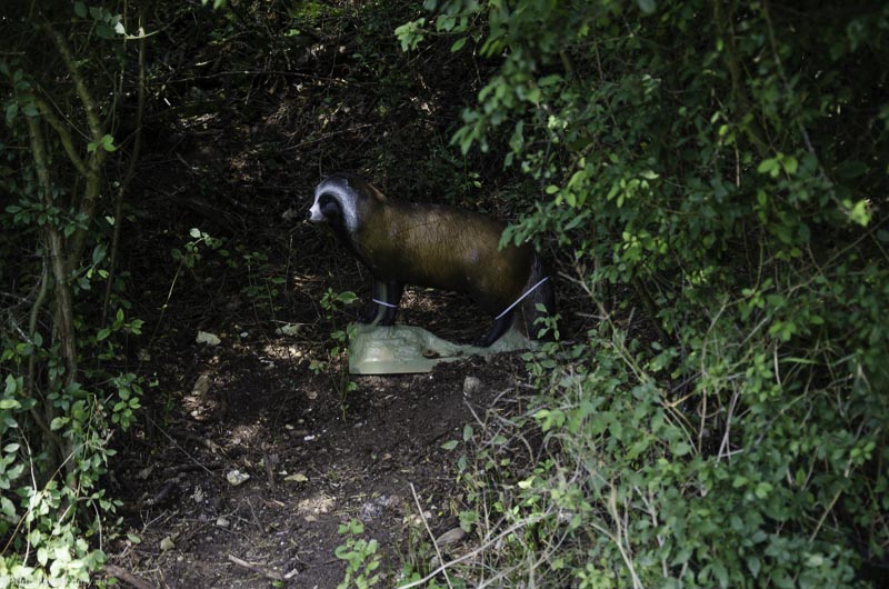 I A 064 August 17 3526-bogenschiessen