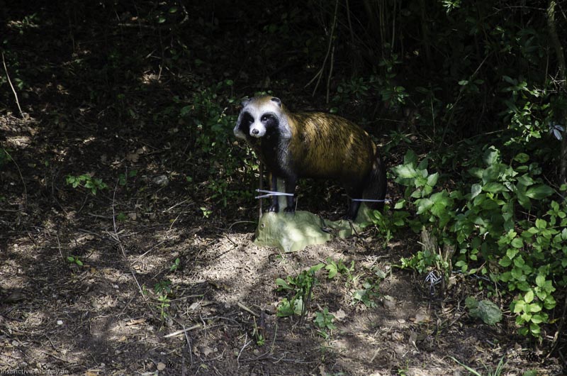 I A 065 August 17 3527-bogenschiessen