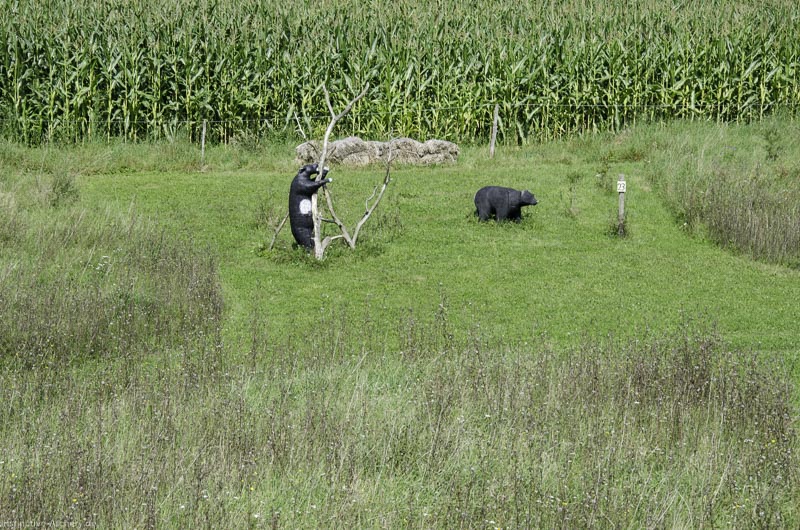 I A 068 August 17 3533-bogenschiessen