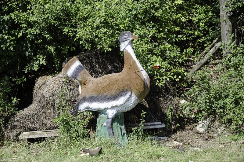 I A 070 August 17 3538-bogenschiessen