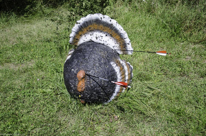 I A 071 August 17 3539-bogenschiessen