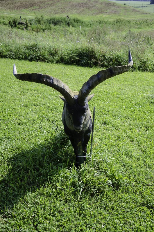 I A 078 August 17 3550-bogenschiessen