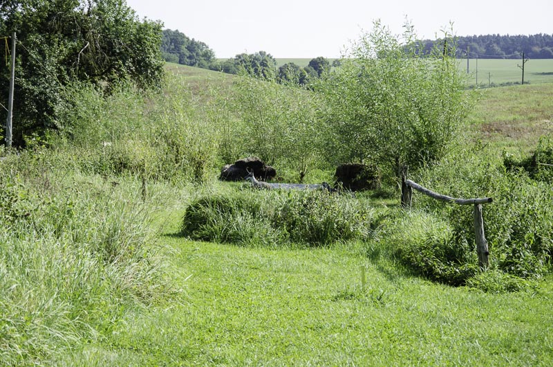 I A 084 August 17 3558-bogenschiessen