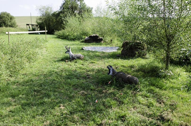 I A 086 August 17 3562-bogenschiessen