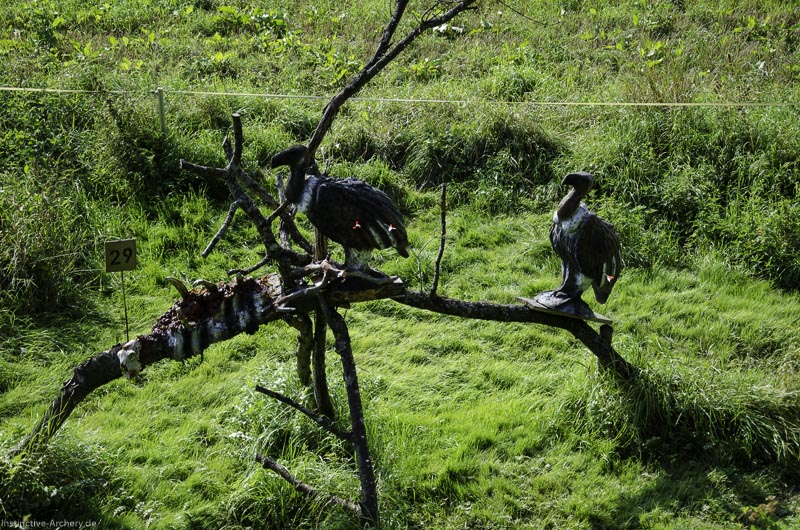 I A 098 August 17 3598-bogenschiessen