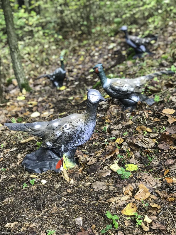 I A 011 Oktober 17-bogenschiessen