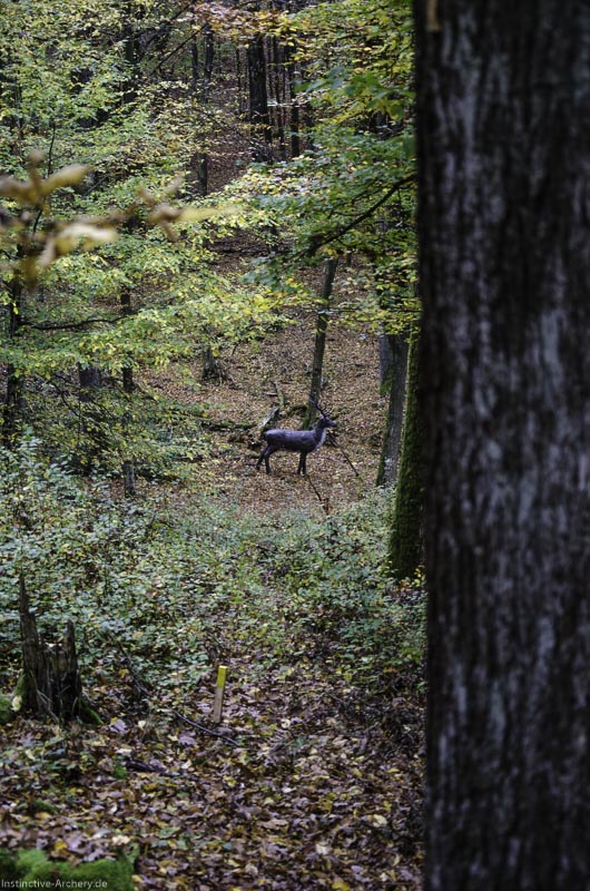 I A 043 Oktober 17 3655-bogenschiessen