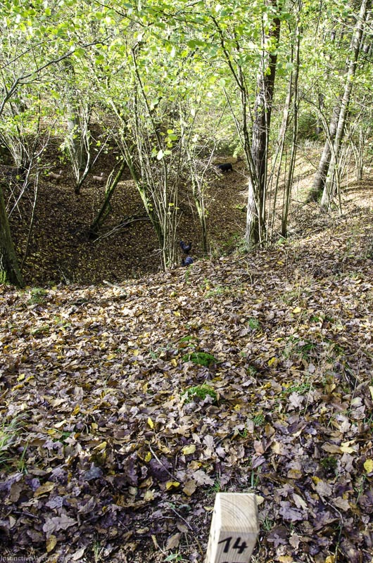 I A 046 Oktober 17 3816-bogenschiessen