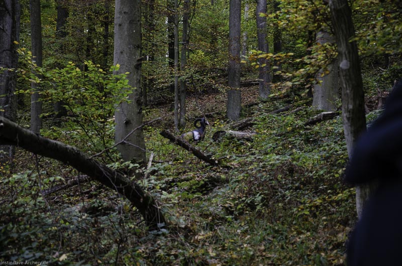 I A 047 Oktober 17 3665-bogenschiessen