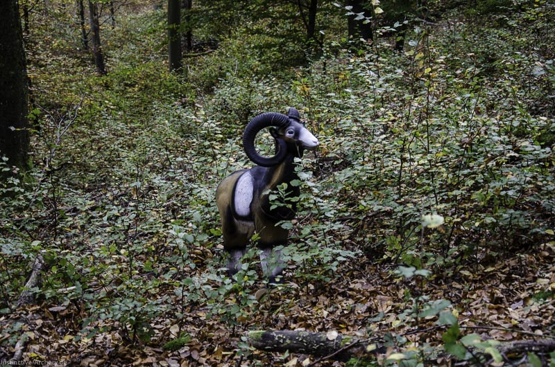 I A 048 Oktober 17 3669-bogenschiessen
