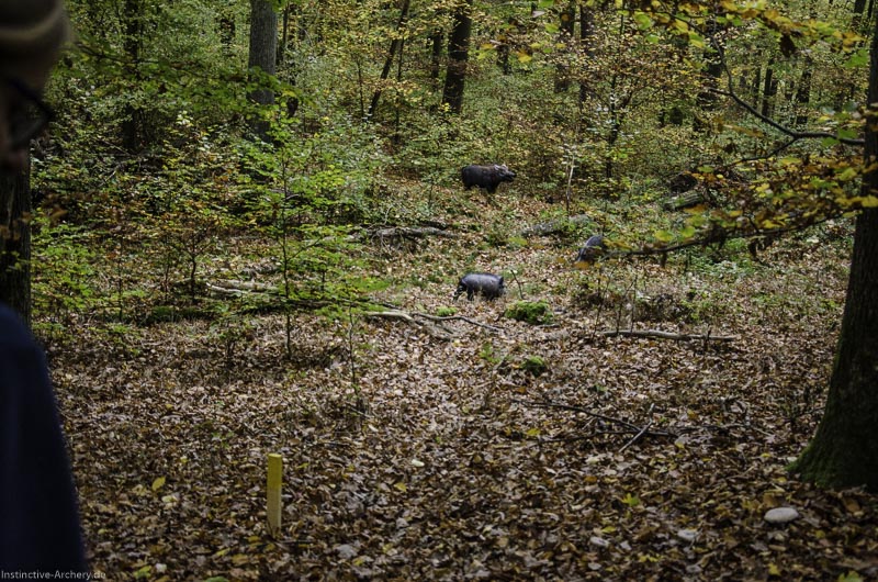 I A 070 Oktober 17 3692-bogenschiessen