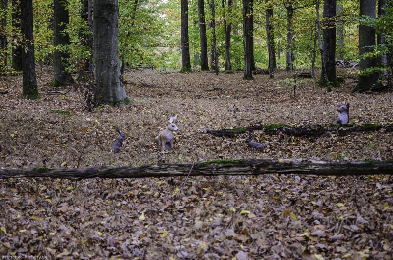 I A 094 Oktober 17 3718-bogenschiessen