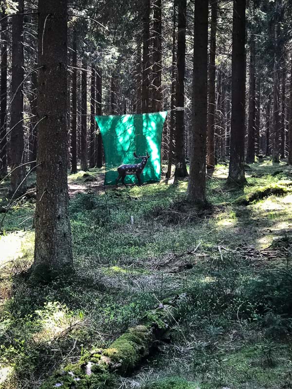 instarch 180422 3024 x 4032 15-bogenschiessen