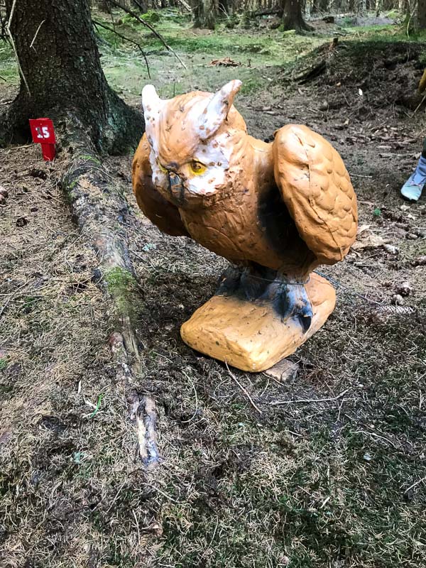 instarch 180422 3024 x 4032 18-bogenschiessen