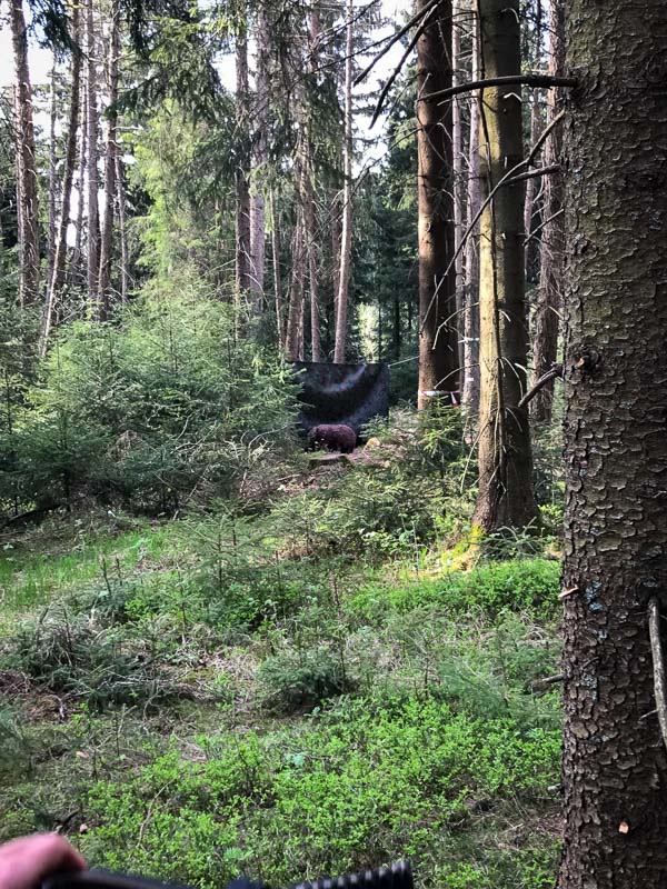 instarch 180422 3024 x 4032 29-bogenschiessen