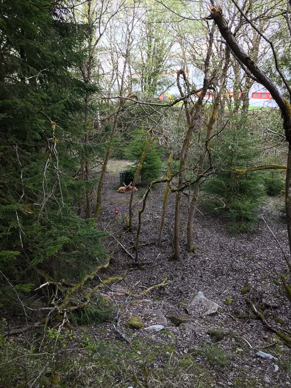 instarch 180422 3024 x 4032 33-bogenschiessen
