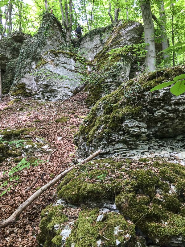 instarch 180428 2448 x 3264 15-bogenschiessen