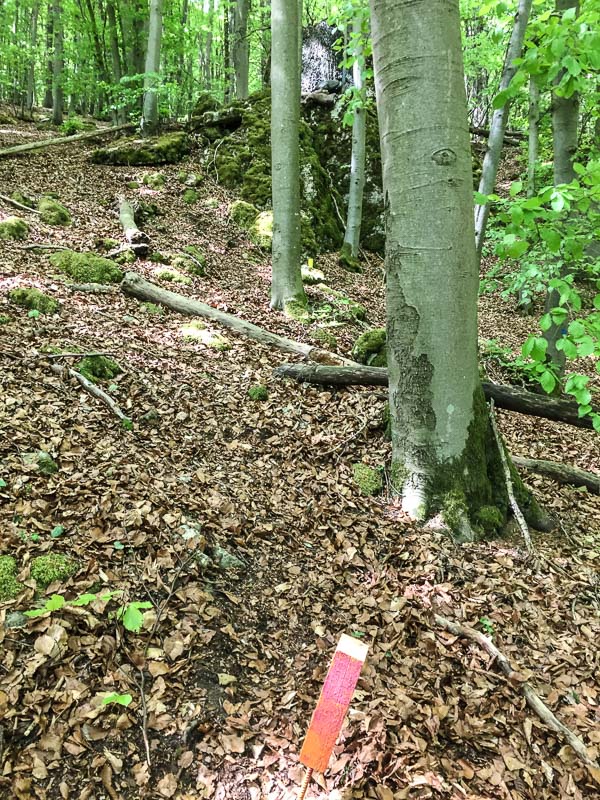 instarch 180428 2448 x 3264 16-bogenschiessen