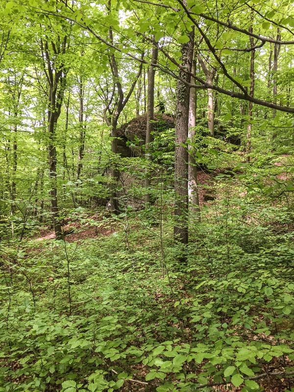 instarch 180428 2448 x 3264 4-bogenschiessen