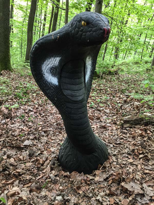 instarch 180428 2448 x 3264 7-bogenschiessen