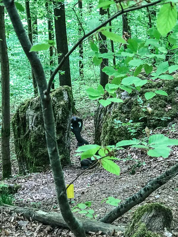 instarch 180428 3024 x 4032 15-bogenschiessen