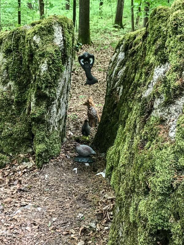 instarch 180428 3024 x 4032 16-bogenschiessen