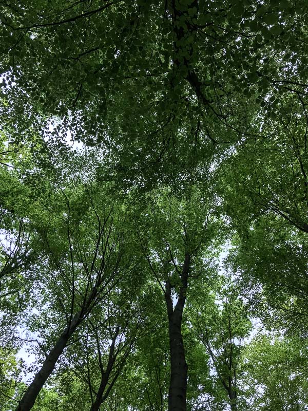 instarch 180428 3024 x 4032 19-bogenschiessen