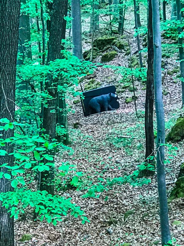 instarch 180428 3024 x 4032 2-bogenschiessen