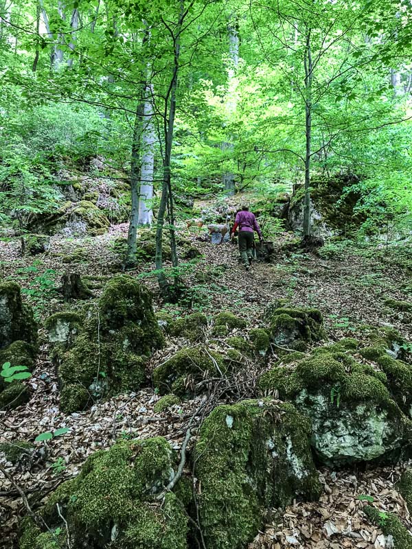 instarch 180428 3024 x 4032 20-bogenschiessen