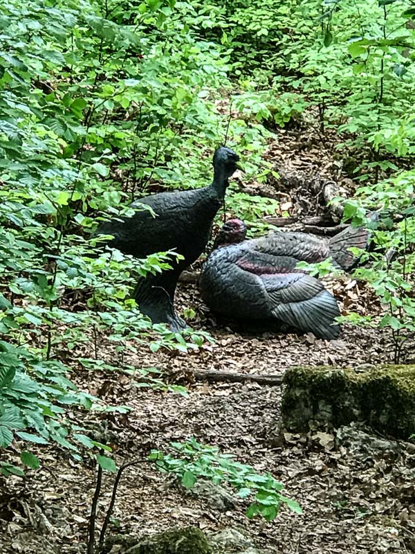 instarch 180428 3024 x 4032 21-bogenschiessen