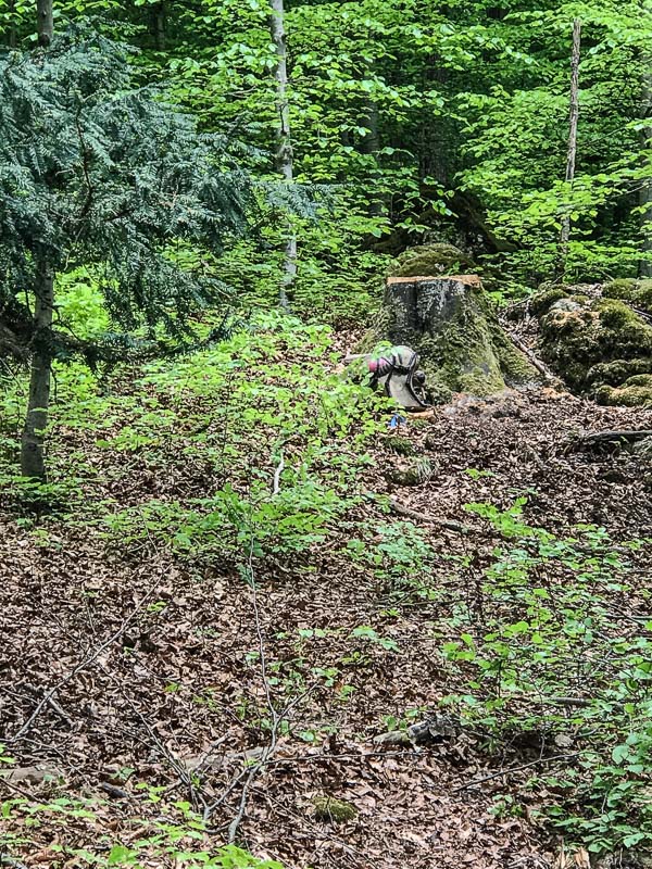 instarch 180428 3024 x 4032 22-bogenschiessen