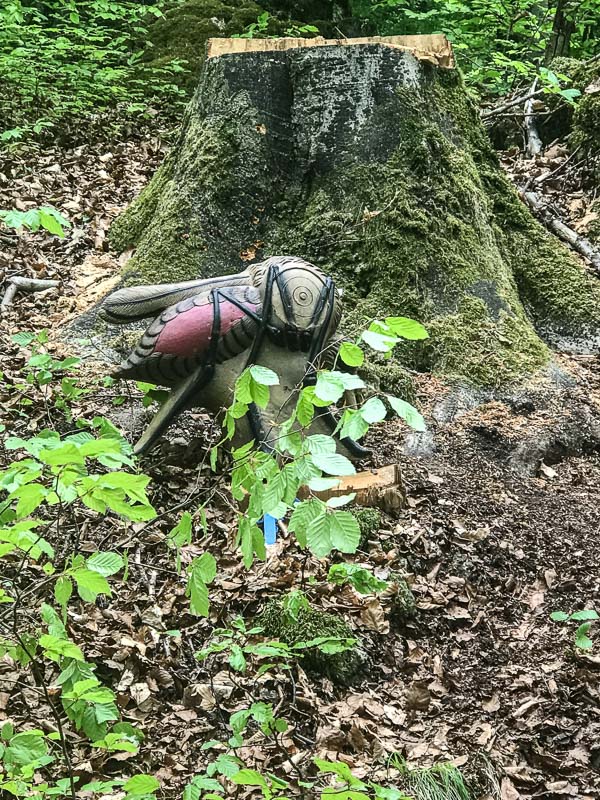 instarch 180428 3024 x 4032 23-bogenschiessen