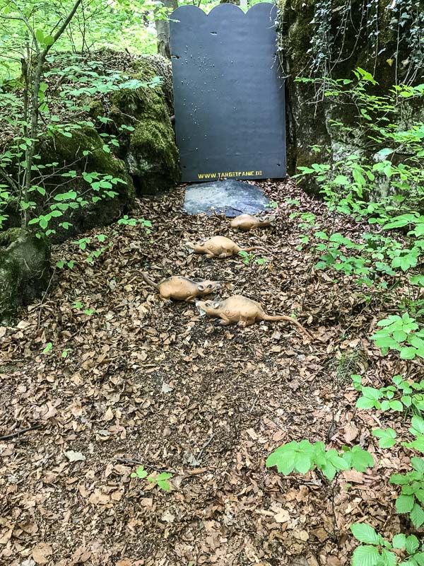 instarch 180428 3024 x 4032 24-bogenschiessen