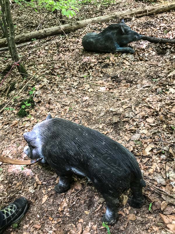 instarch 180428 3024 x 4032 28-bogenschiessen