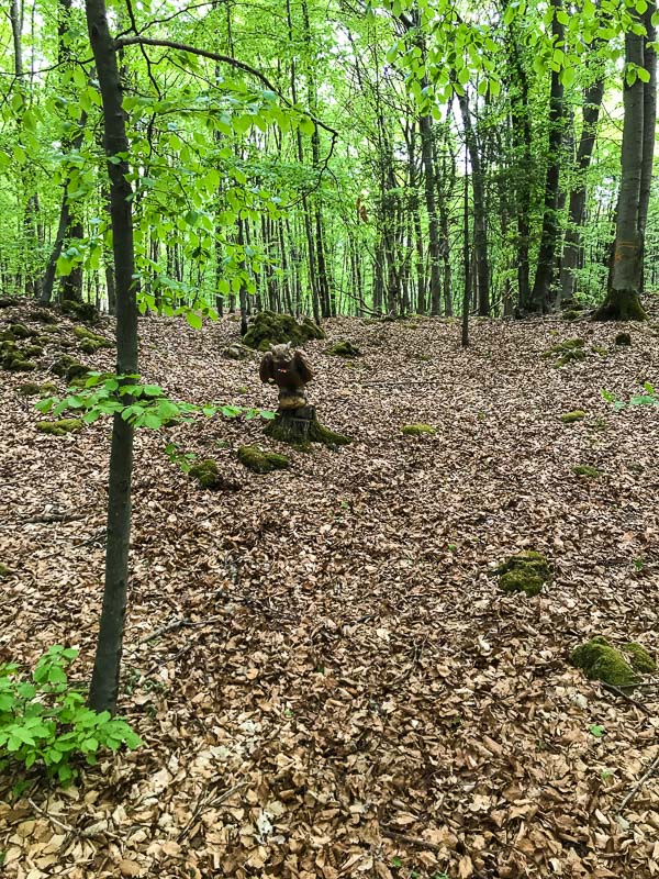 instarch 180428 3024 x 4032 3-bogenschiessen