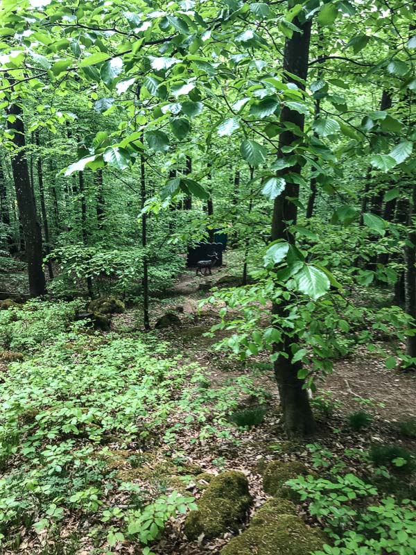 instarch 180428 3024 x 4032 30-bogenschiessen