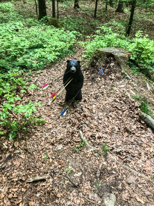 instarch 180428 3024 x 4032 31-bogenschiessen