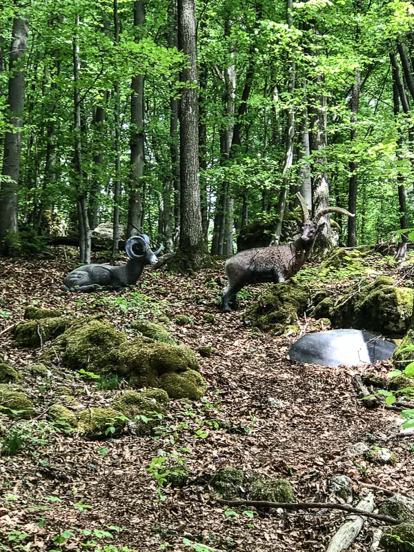 instarch 180428 3024 x 4032 32-bogenschiessen