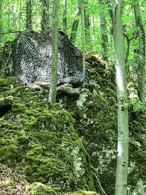 instarch 180428 3024 x 4032 35-bogenschiessen