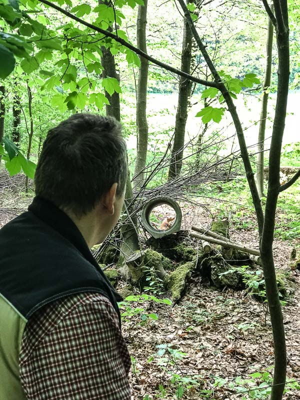 instarch 180428 3024 x 4032 38-bogenschiessen